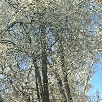 Февральское настроение :: Георгиевич Февральское настроение :: Георгиевич