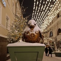 заснеженный :: Галина R...