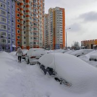 Куда-то дворники подевались :: Валерий Иванович