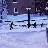 Февраль...Ребячья стайка на бульваре! :: Владимир 