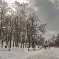 Александровский сад. :: Николай 