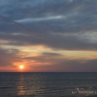 Природа Крыма :: Amazing Cosmea