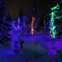 Ночи Таинственного леса :: Ольга Ночи Таинственного леса :: Ольга