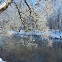 *** :: Владимир Безбородов