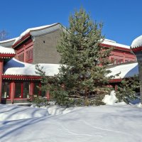 Зима в парке Хуамин :: ИРЭН@ . Зима в парке Хуамин :: ИРЭН@ .