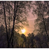 Яркий закат. :: Михаил Курзанцев