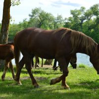 На прогулке. :: Виктор 