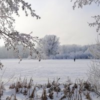 Озеро Лесное, Калининград :: Рита Симонова