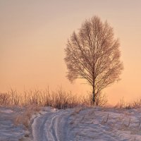 Утро... :: Виктор Желенговский
