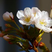 Доброе утро :: Юрий. Шмаков