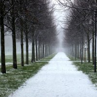 В декабрь :: Юрий. Шмаков