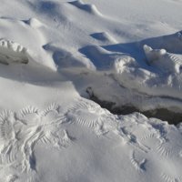 Чьи-то следы :: Anna-Sabina Anna-Sabina Чьи-то следы :: Anna-Sabina Anna-Sabina