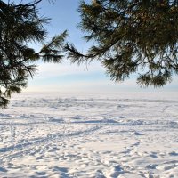 Вид на море :: AleksSPb Лесниченко