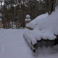 Старый парк. :: Александр Николаев