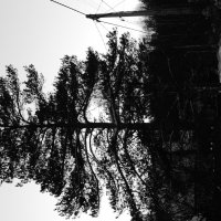 Мечты о ч/б Лейке 3. :: Михаил Елочкин