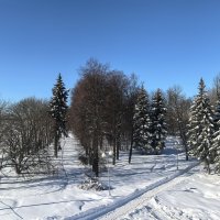 "...зима и солнце, день чудесный..." :: Olga Oskolkova