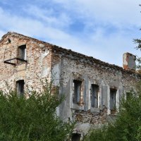 Заброшка :: Дарья Шуклина