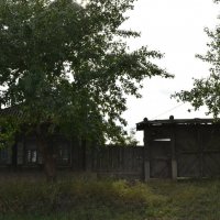 Дом :: Дарья Шуклина