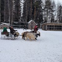 Масленица в Яви Нави. :: Ольга 