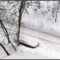 "Подснежник" под окном :: Ольга Довженко