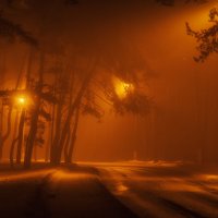 Ночной туман :: ALEXANDR L