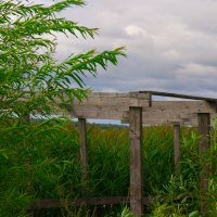 без названия :: fogmeadowww m