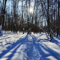 Провожаю зиму. С Масленицей, друзья! :: Андрей Лукьянов