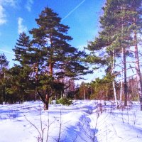 Красота :: Людмила Смородинская