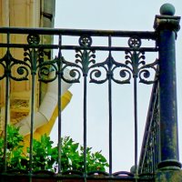 ПИТЕР, решётки. :: Виктор Осипчук