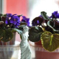 Венера Милосская в цветах :: Юрий Гайворонскiий