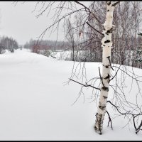 Зима :: **** vedin