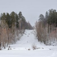 С горки :: **** vedin