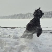 Эээээх, хорошо :: Надежда Шубина