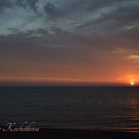 Природа Крыма :: Amazing Cosmea