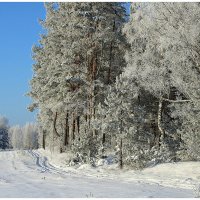 Зимняя дорога :: Aleksandr Gal