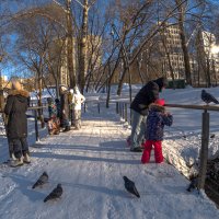 Прогулки в Зимнем Парке :: юрий поляков