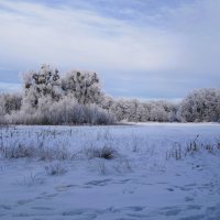 Зимний пейзаж :: Рита Симонова