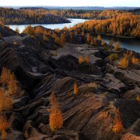 Краски  осени :: Владимир Гришин
