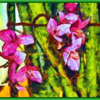 Бугенвилия :: Анатолий Чикчирный