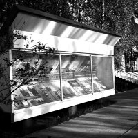 Фотография :: Денис Безногов