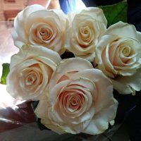 С наступающим праздником, мужчины! :: Татьяна Пальчикова