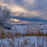 *** :: Алексей Мезенцев