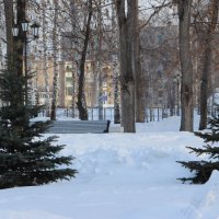 Зима :: Венера Чуйкова