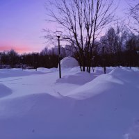 На закате в парке. :: Наталья Вязигина