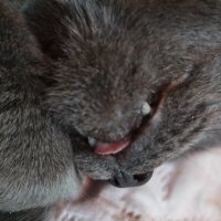 Когда сон хороший снится. :: Наталья Вязигина