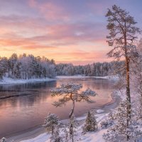 Ладога... :: Ольга Cоломатина