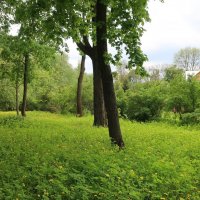 Весна в Ивановке :: Gen Vel