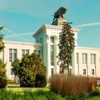 ВДНХ :: веселов михаил ВДНХ :: веселов михаил