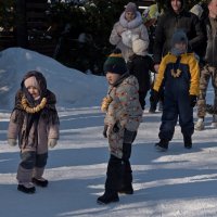 Масленница :: Ольга Dolovova