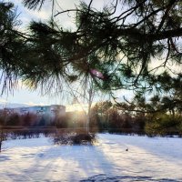 Сквер Памяти :: Наталья (ShadeNataly) Мельник